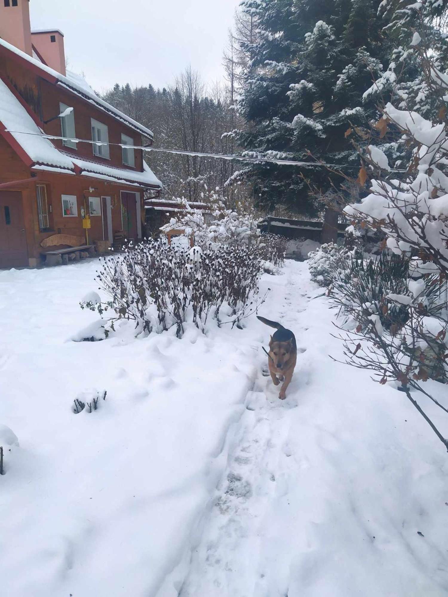 Agroturystyka U Psotki Kuzmina Dış mekan fotoğraf