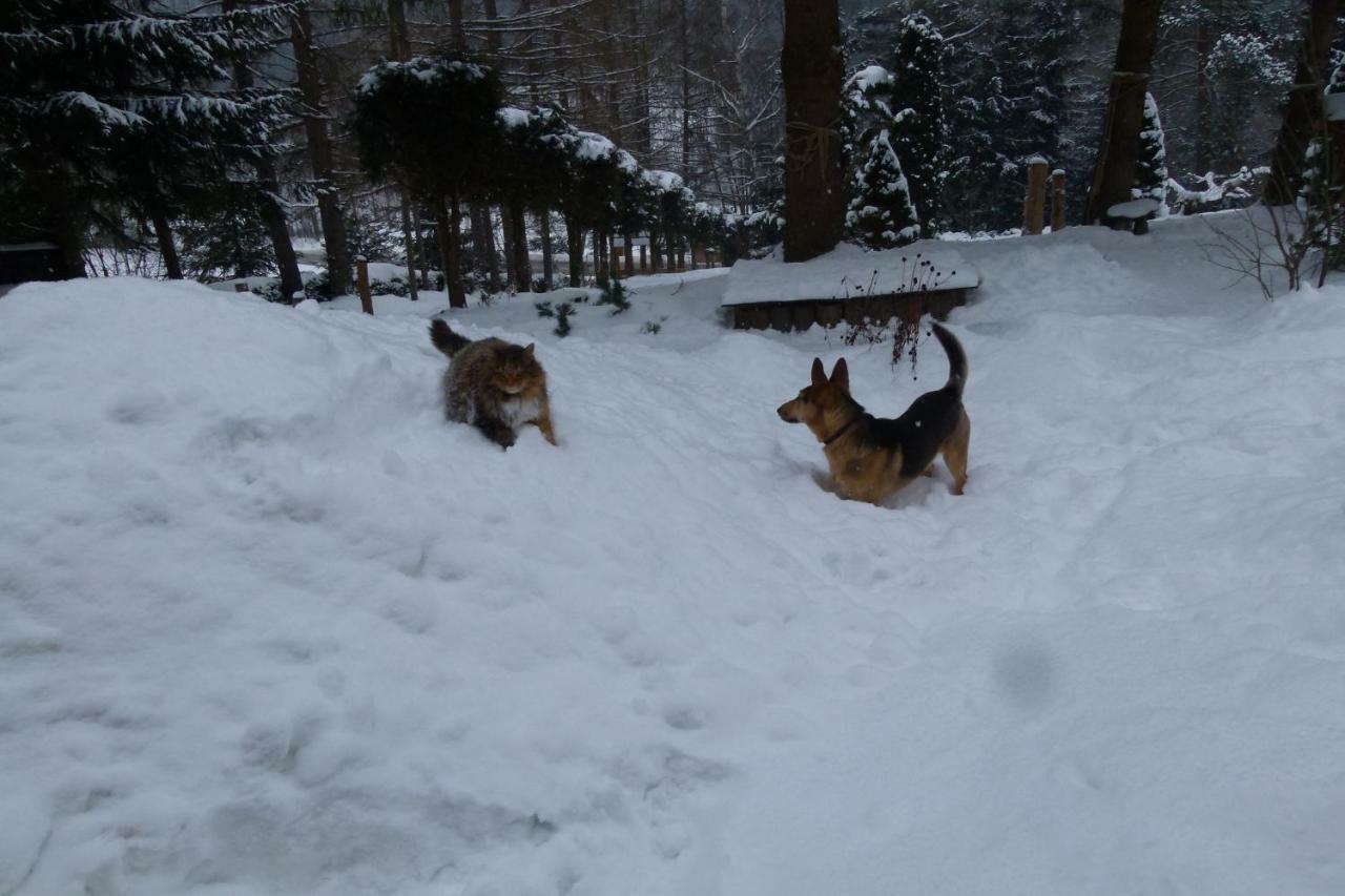 Agroturystyka U Psotki Kuzmina Dış mekan fotoğraf